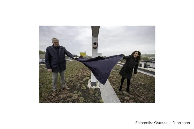 Groen dak gebouw gemeente Groningen