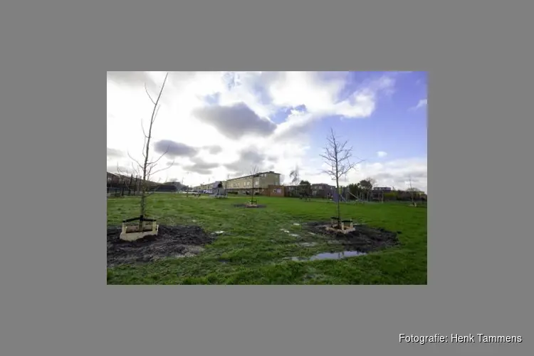 150 bomen voor De Held en de Siersteenlaan