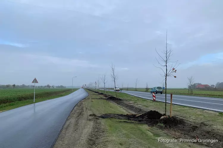 Laatste bomen geplant langs provinciale weg N366 tussen Veendam en Ter Apel