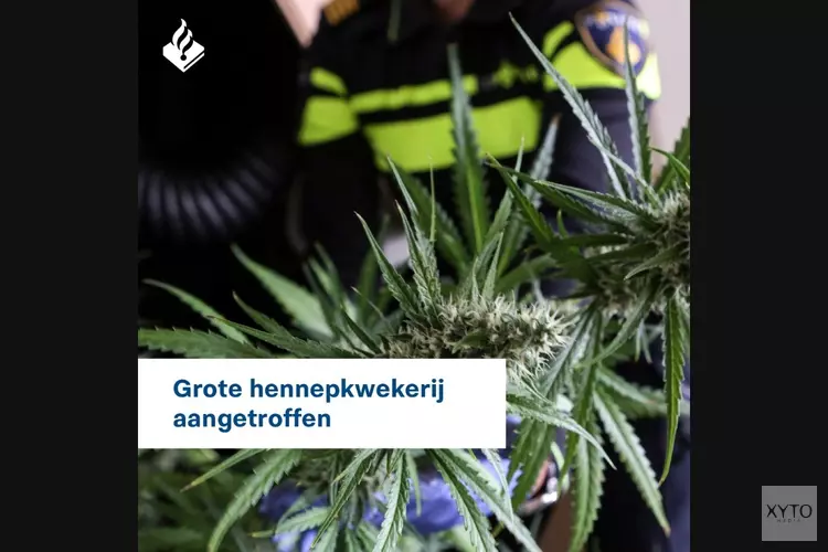 Grote hennepkwekerij aangetroffen, verdachte aangehouden