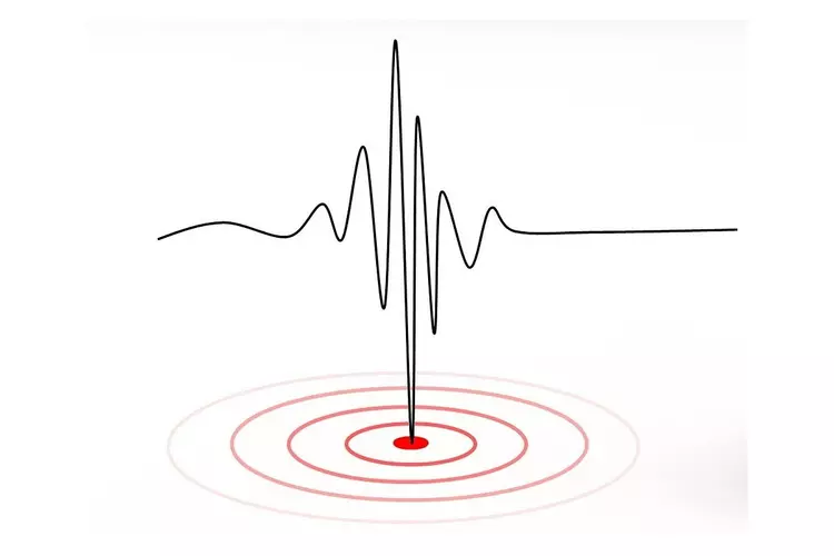 Aardbeving bij Wirdum met magnitude 3.1