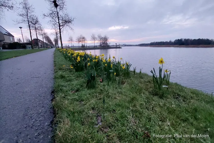 Laatste week februari begint wisselvallig, daarna droger en vaker zon