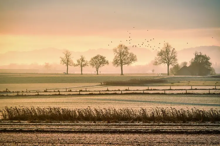 Proces naar een gebiedsplan voor Groningen