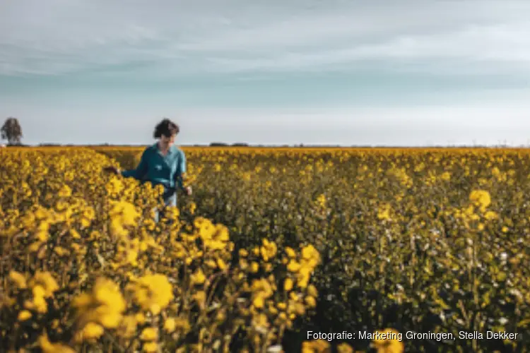 Zomercampagne Ontdek wat je hebt krijgt vervolg